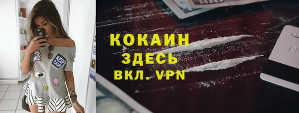 тгк Гусев