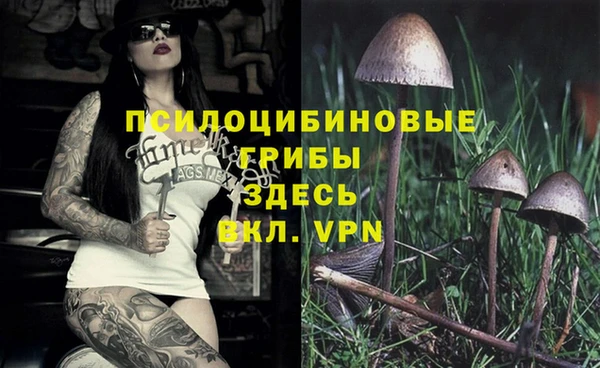 ALPHA-PVP Дмитровск