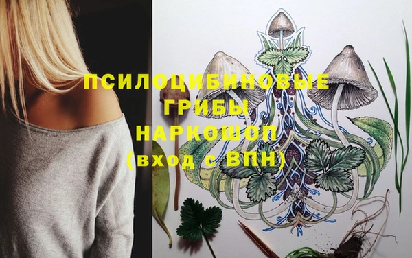 меф VHQ Дмитриев